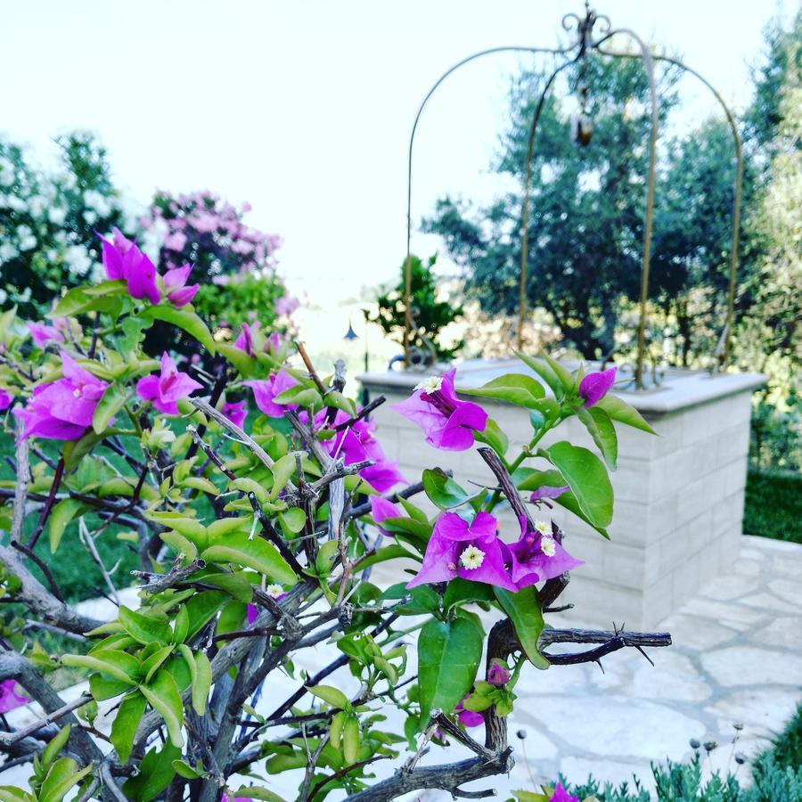 B&B Le Dive Ostra Bagian luar foto